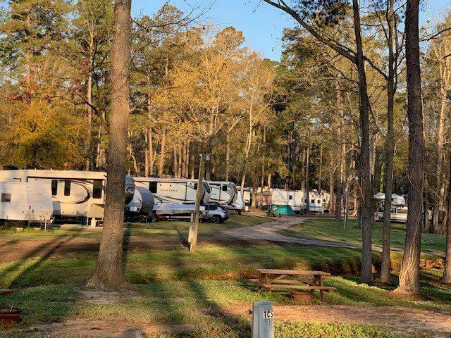 campground in woods