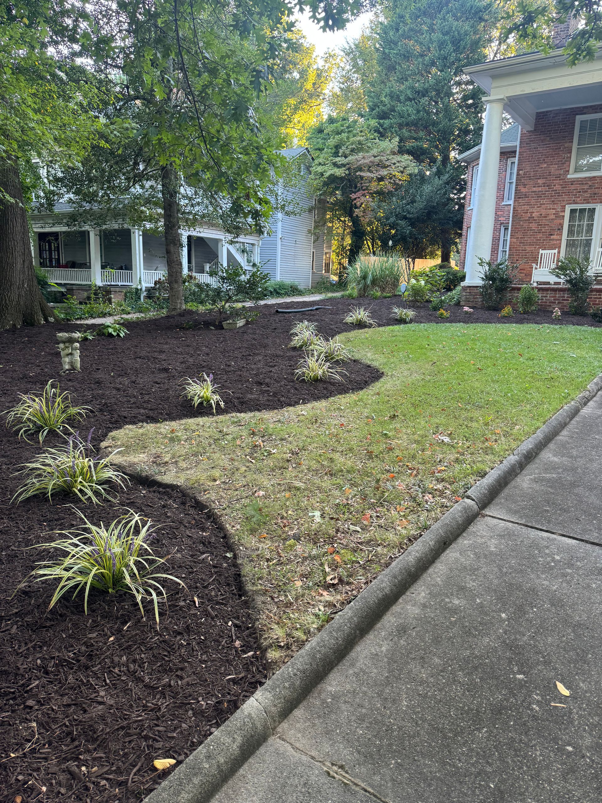 Curved dark mulch beds and green lawn beside a concrete walkway and brick house in a shaded yard