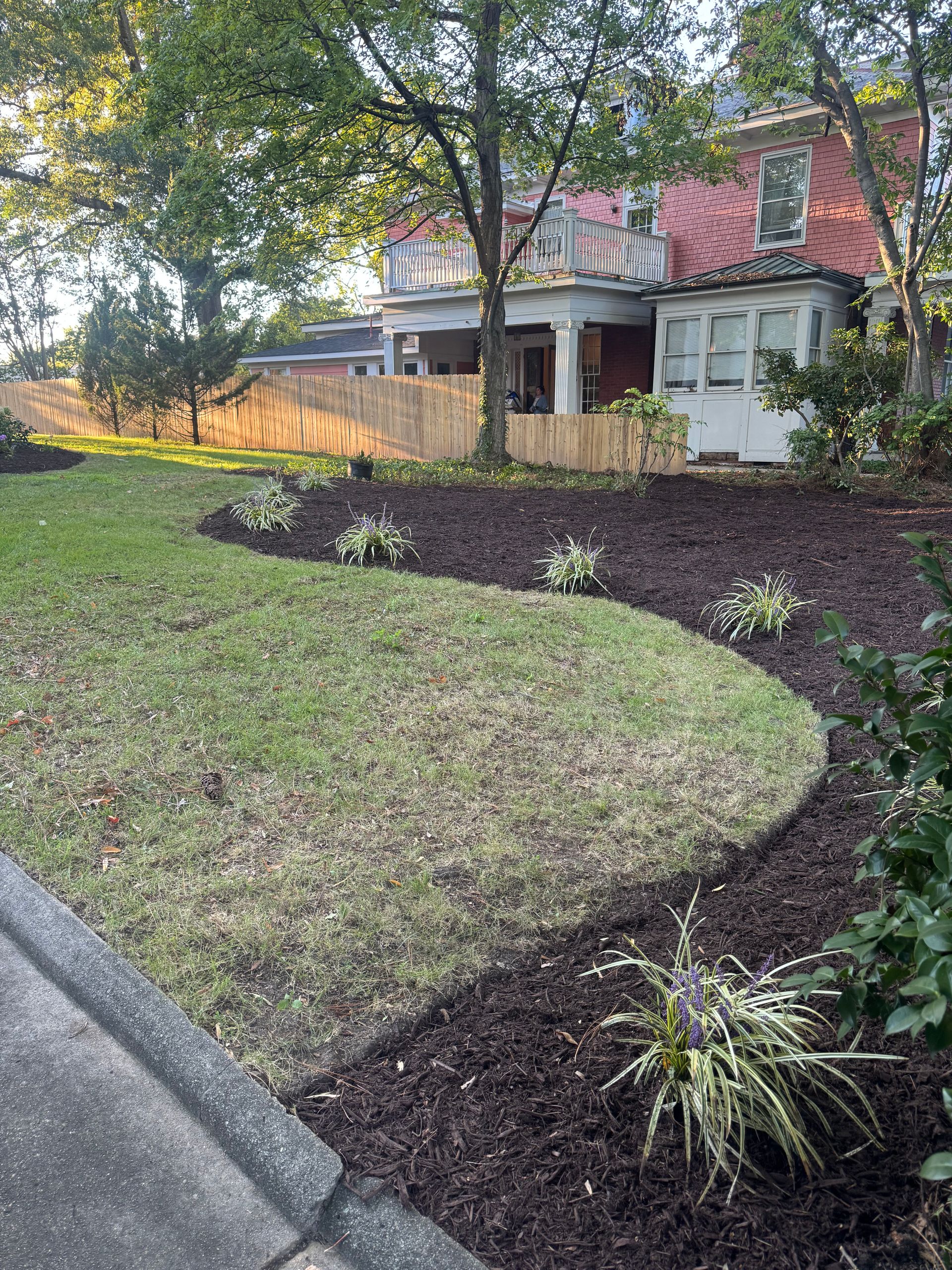 Curved dark mulch bed edging a green lawn beside a house with trees and a fence