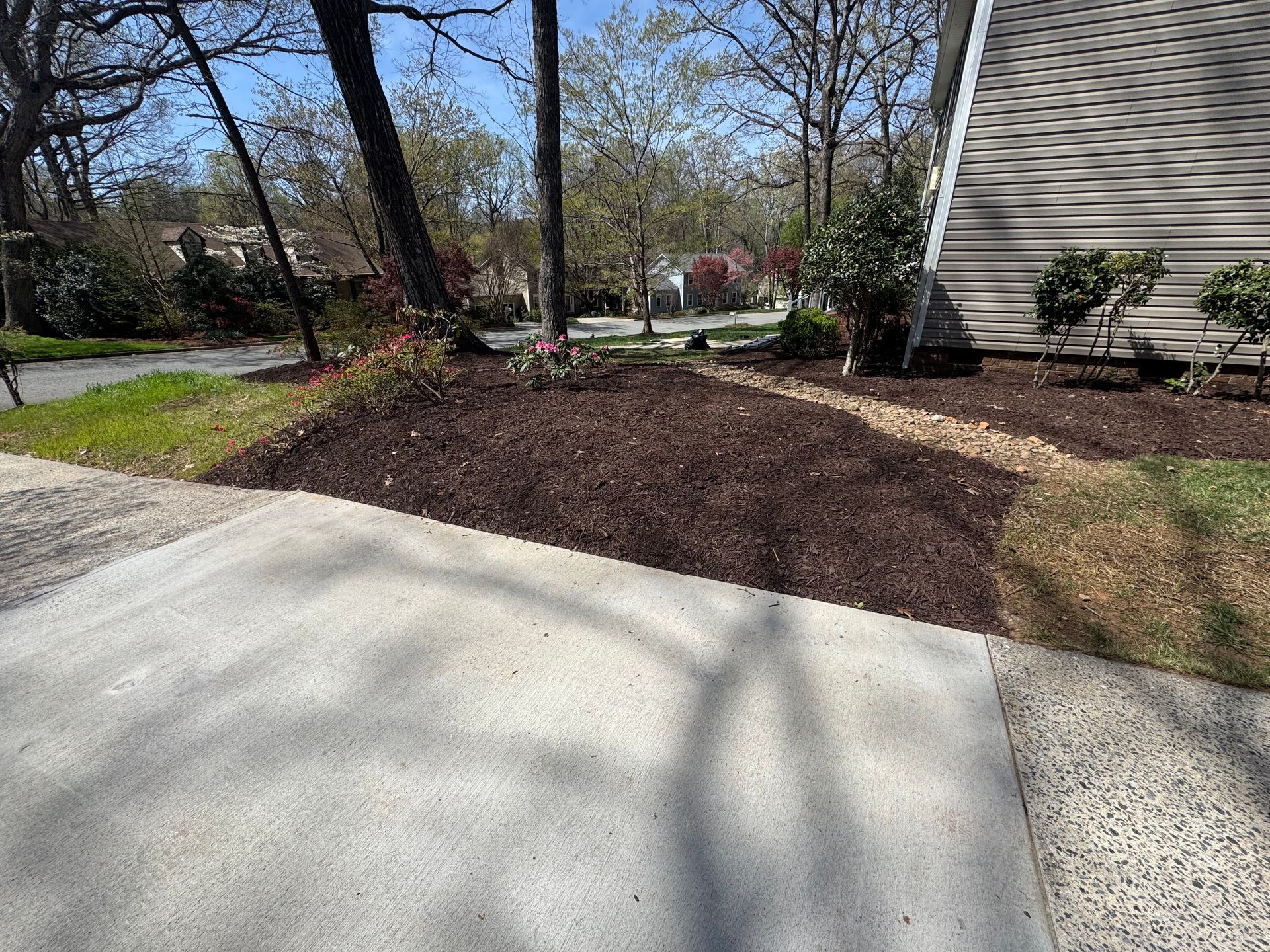 Front yard with freshly mulched garden bed, trees, and a house beside a concrete driveway