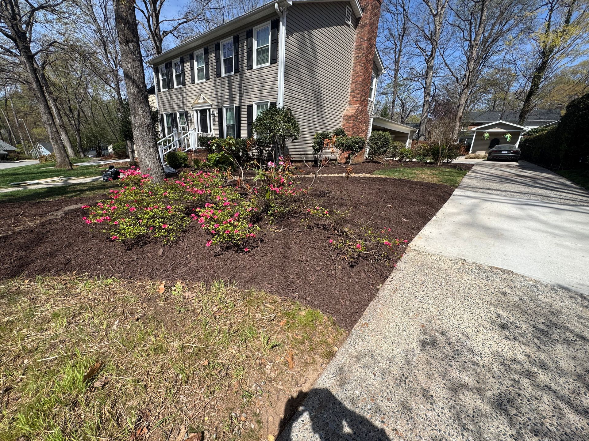 Suburban house with landscaped front yard, flowering shrubs, and a driveway on a sunny day