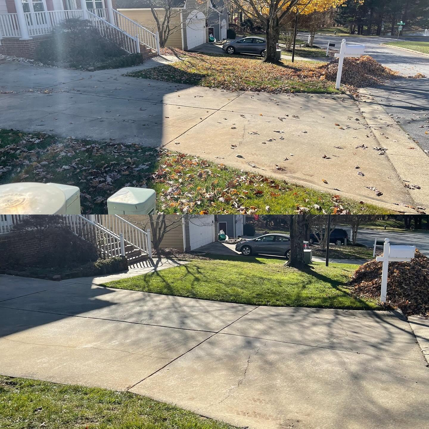 Quiet suburban driveway and sidewalk with fallen leaves in bright autumn sunlight.