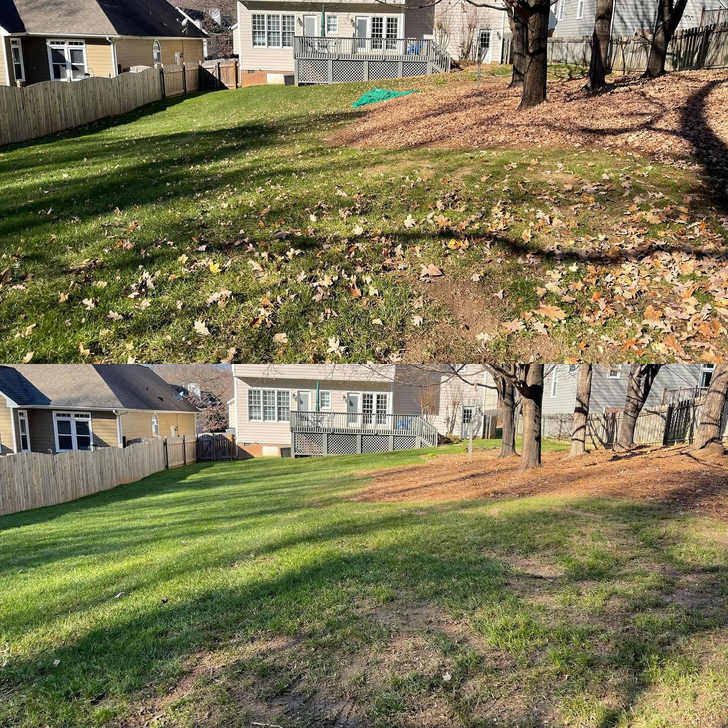 Backyard lawn before and after raking, with leaves removed and grass cleared