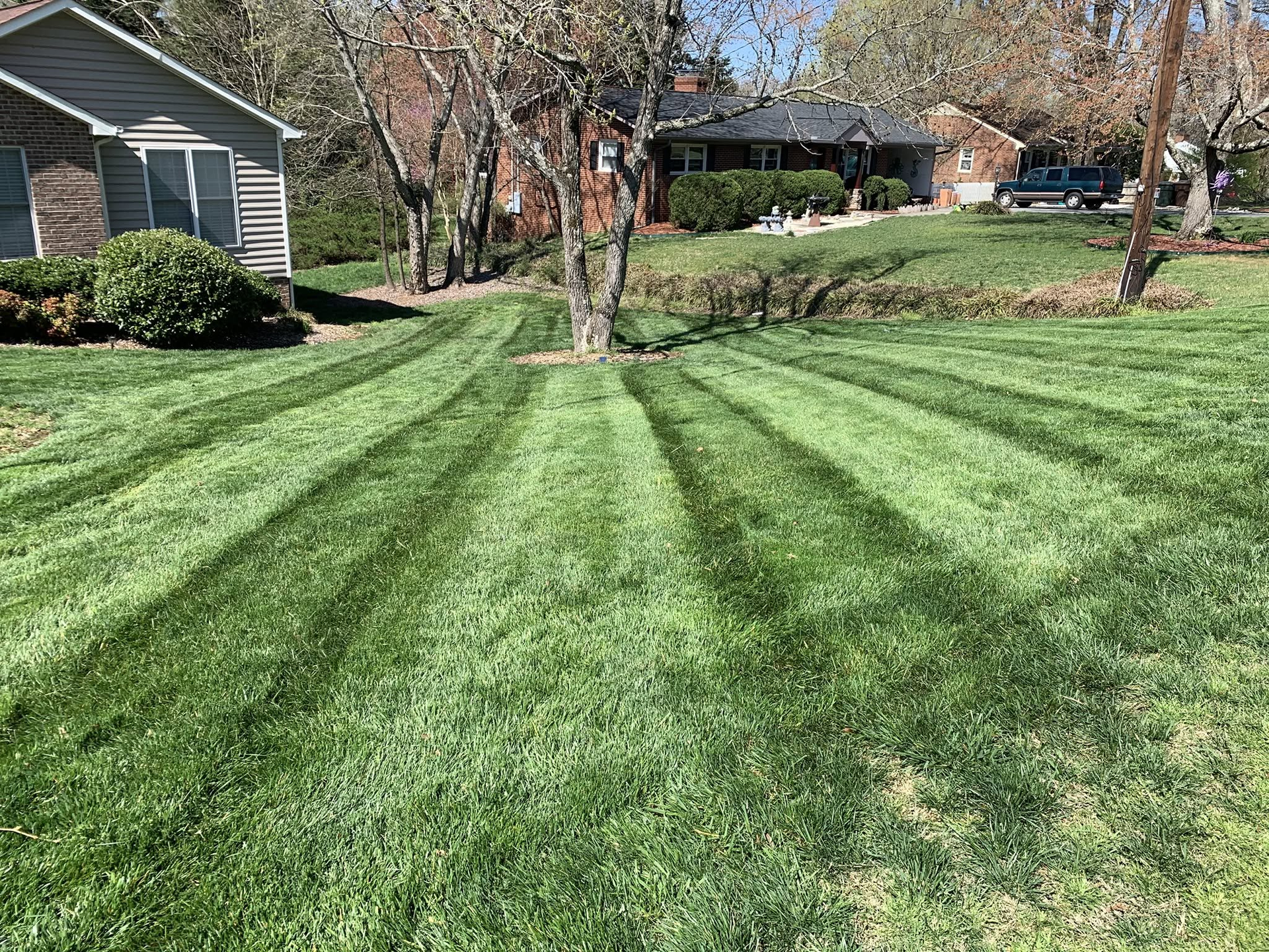 Suburban front yard with striped green grass, trees, and houses in the background.