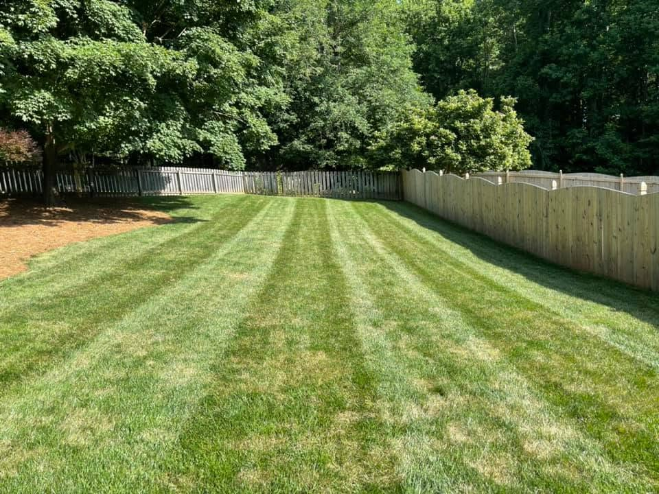 Freshly mowed green backyard lawn with a wooden fence and trees along the edges