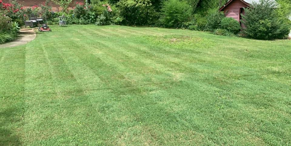 Mowed green lawn with trees and a small red shed in the background