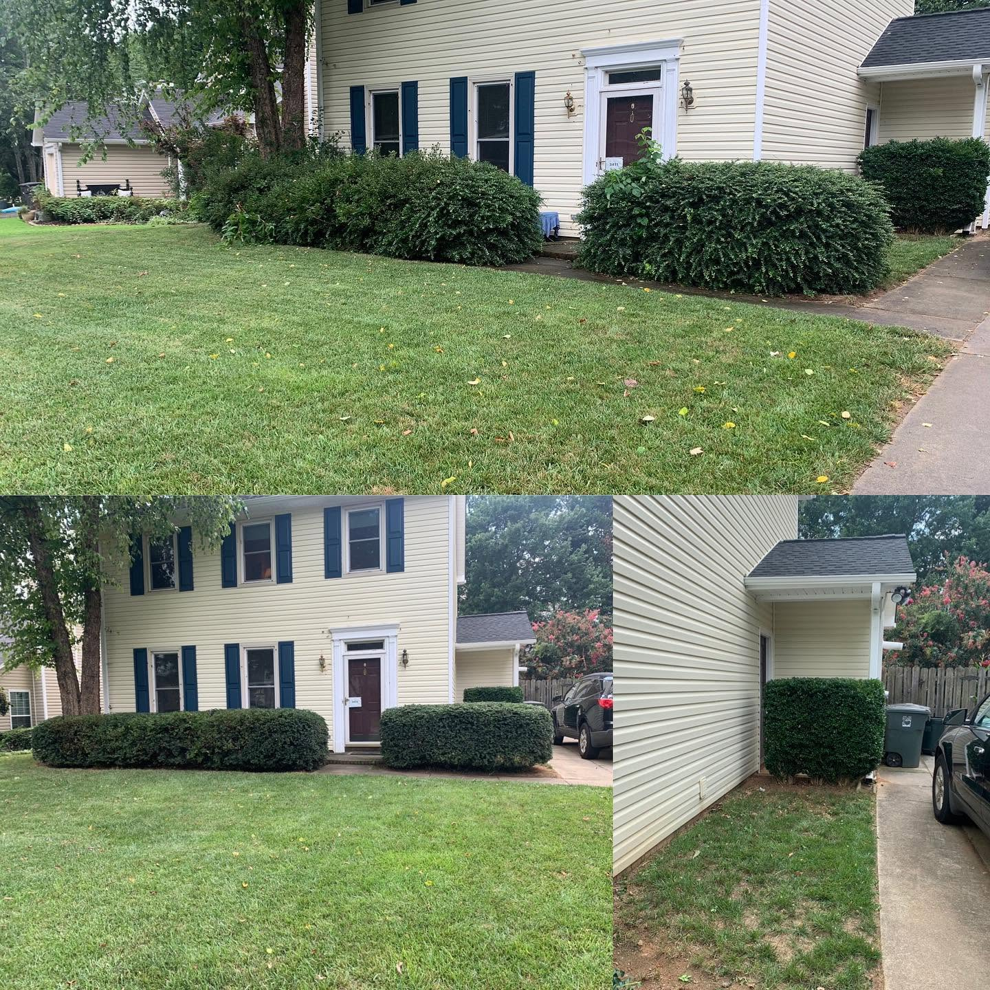 Front and side views of a yellow house with blue shutters, shrubs, lawn, and driveway on a quiet street