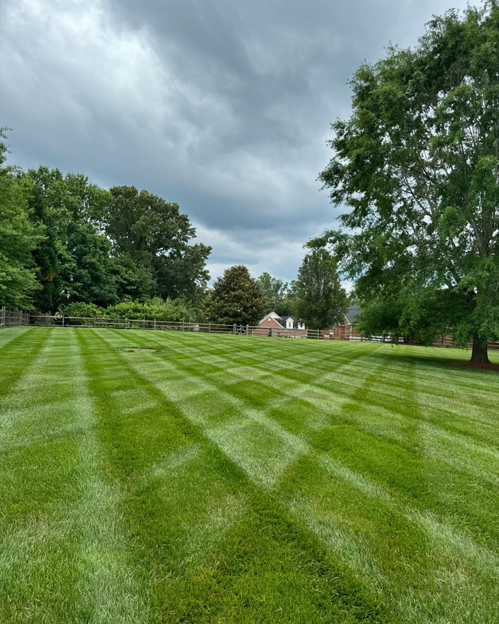 Striped green lawn under cloudy sky with trees and houses in the distance