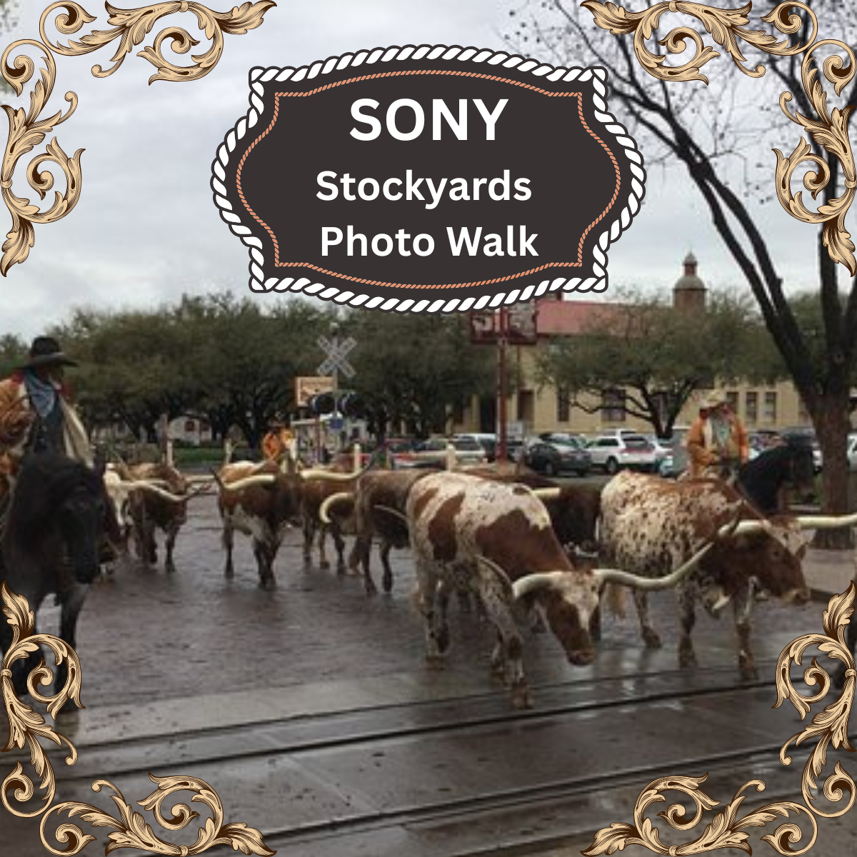 Stockyards Photo Walk & Contest with Sony image