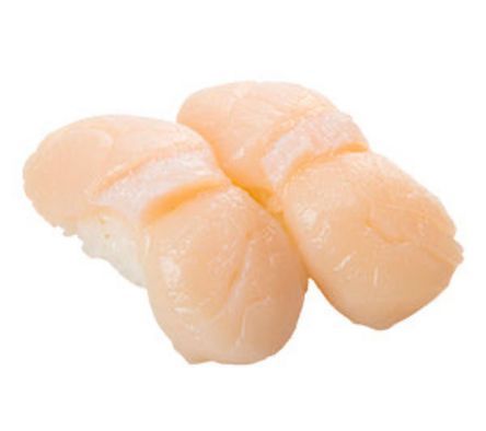 Raw scallops on a white background
