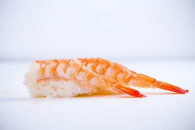 Close-up of a shrimp sushi nigiri on a white background