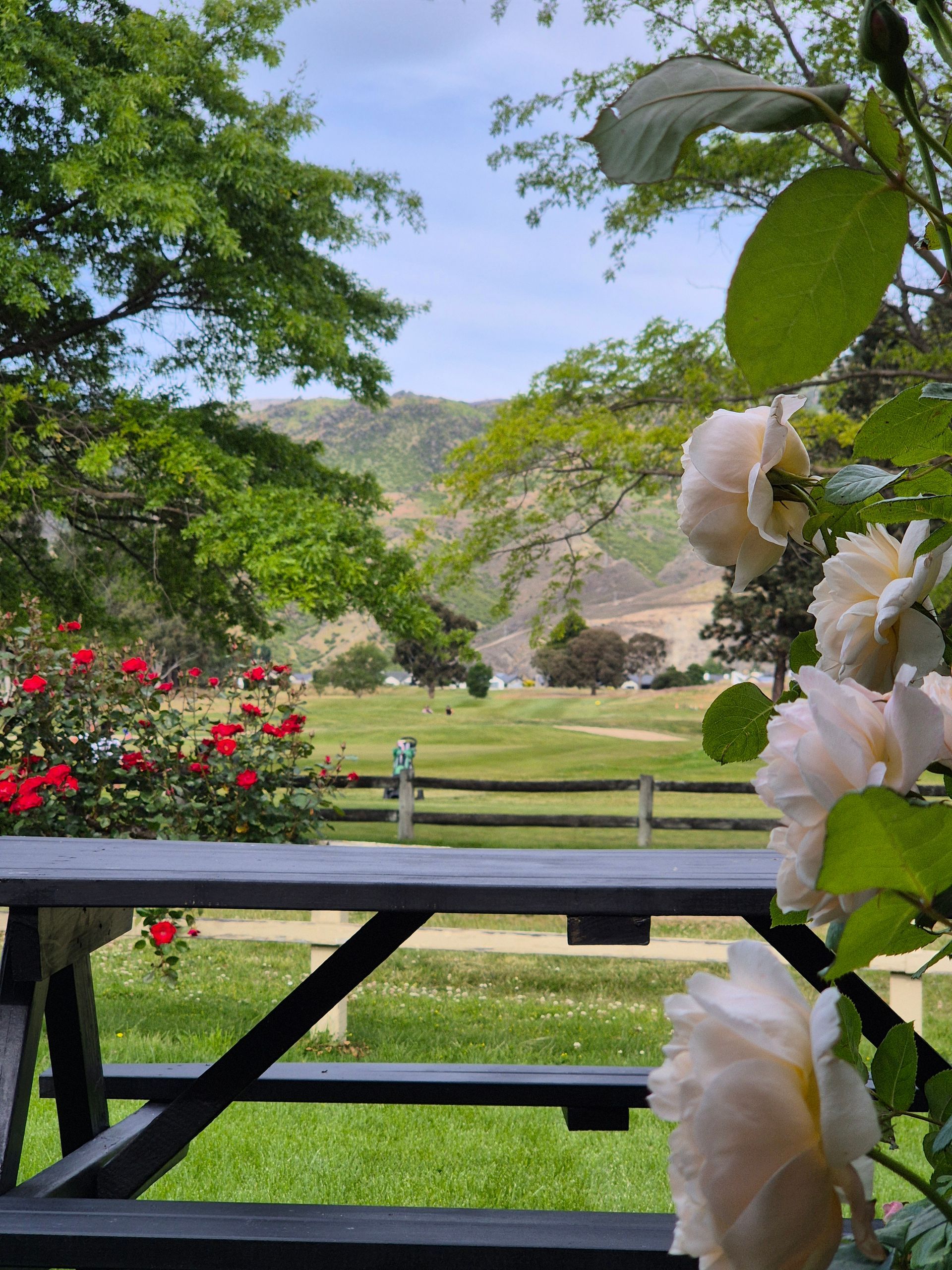 VIEWS FROM THE SUPERIOR KING STUDIO WITH BEAUTIFUL ROSES