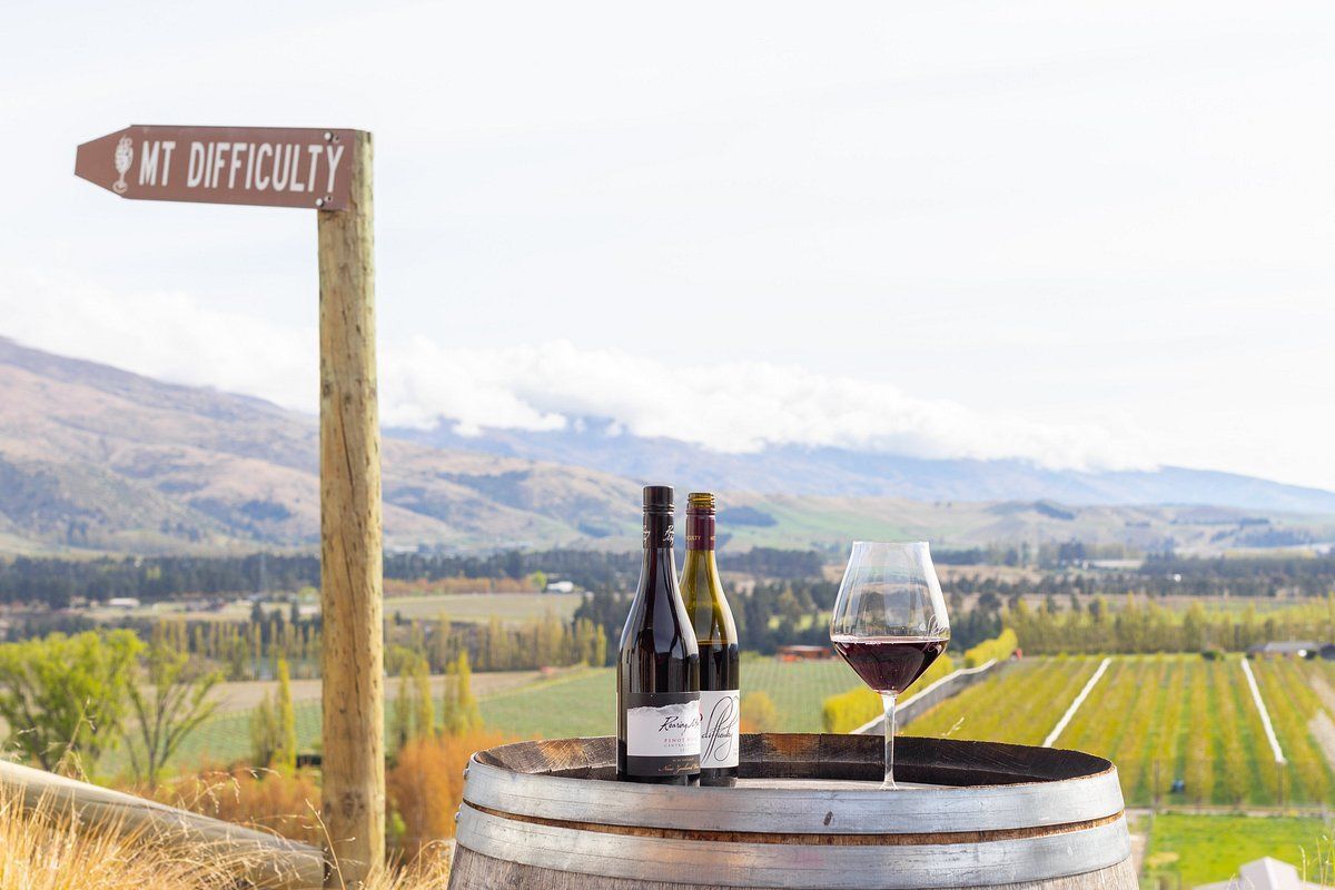 A stunning view of the vineyard at Mt Difficulty Wines