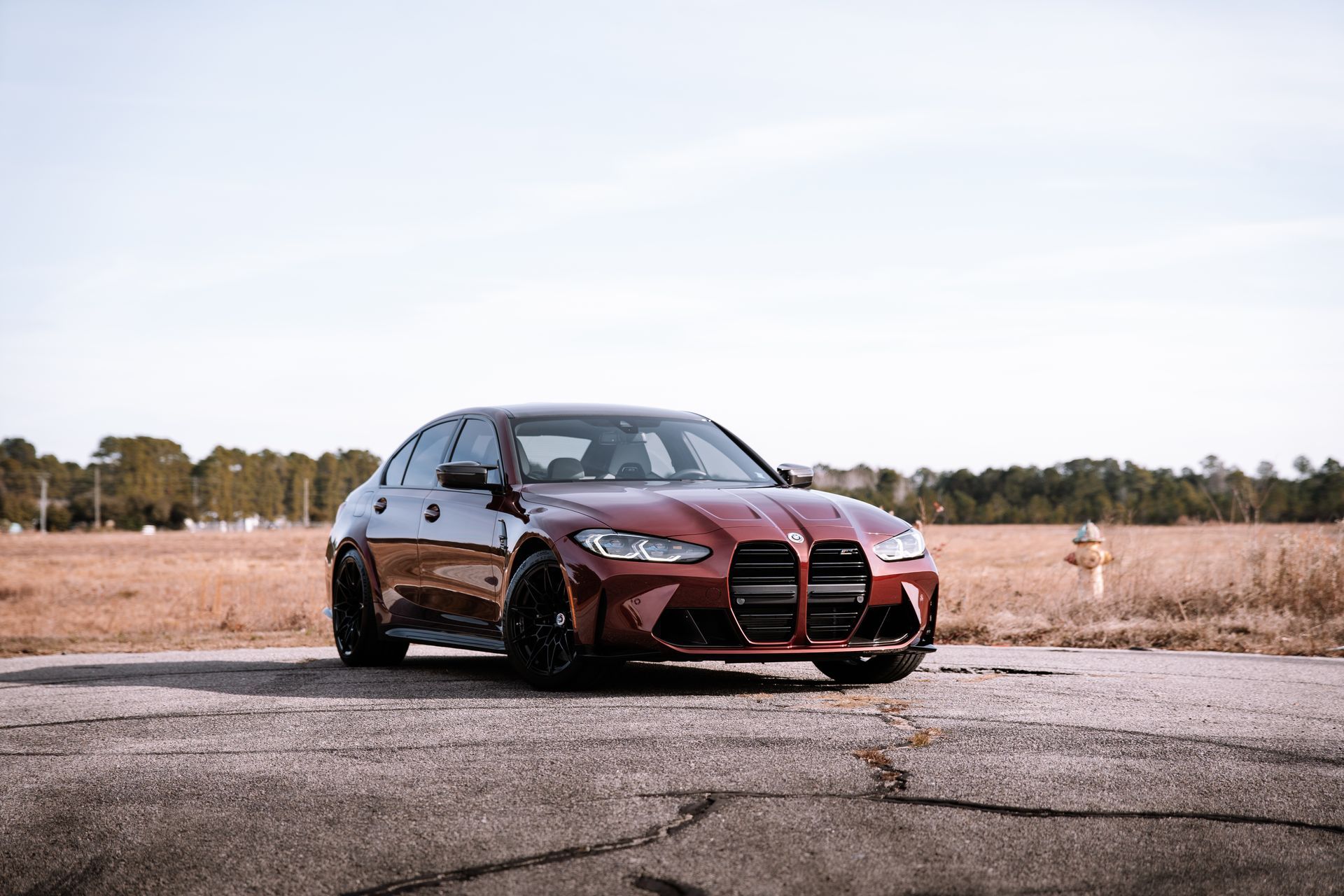Mobile Detailing Service