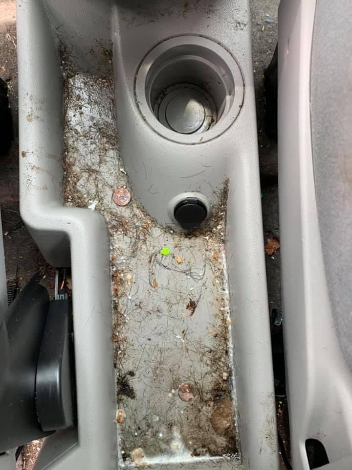 Before Interior Detailing