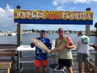 Two men holding large fish on a Naples, Florida dock. A sunny day with blue water, boats, and a sign.