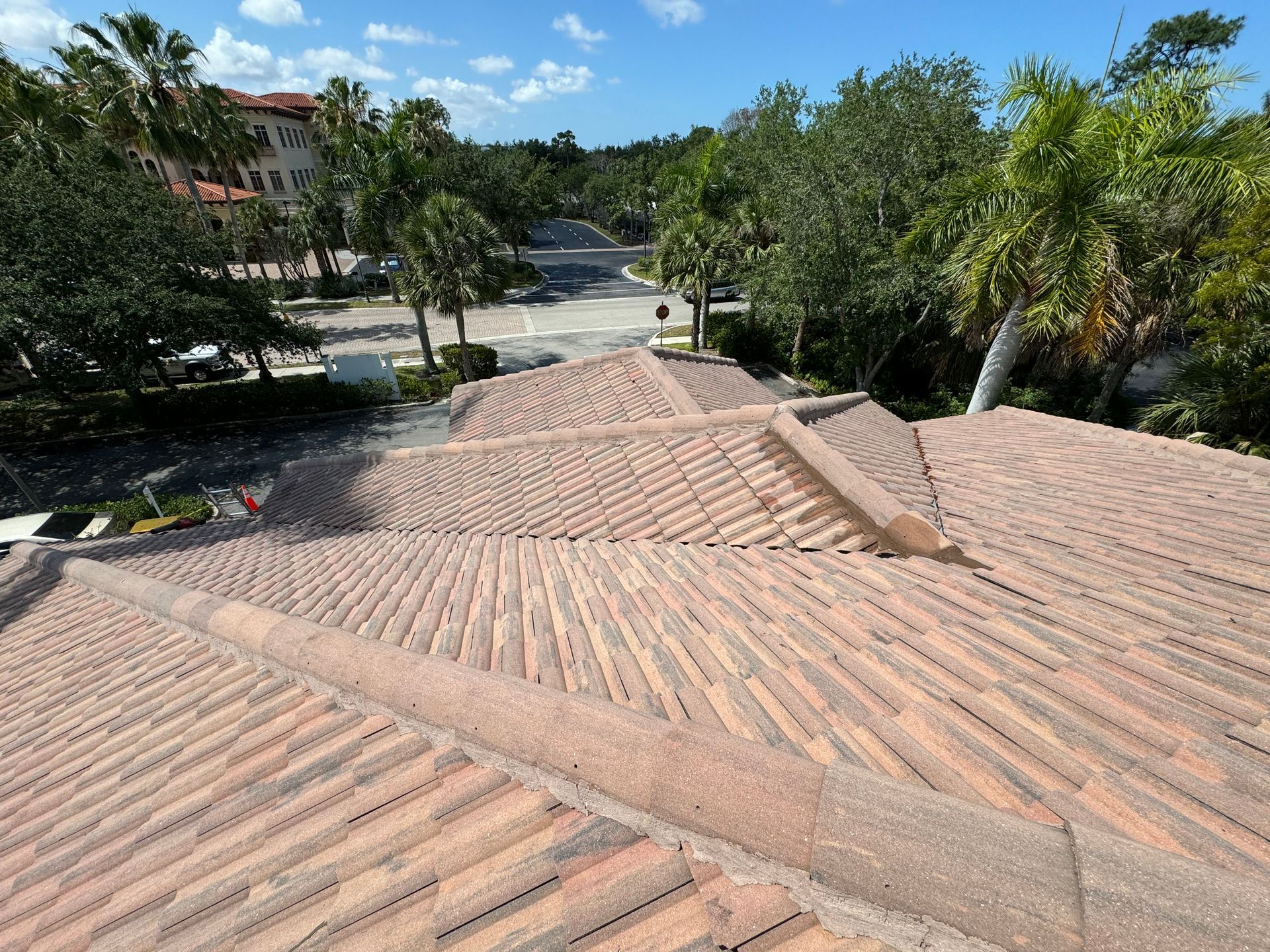 Overhead view of a terracotta tile roof with street and trees in the background under a blue sky. Overhead view of a terracotta tile roof with street and trees in the background under a blue sky.