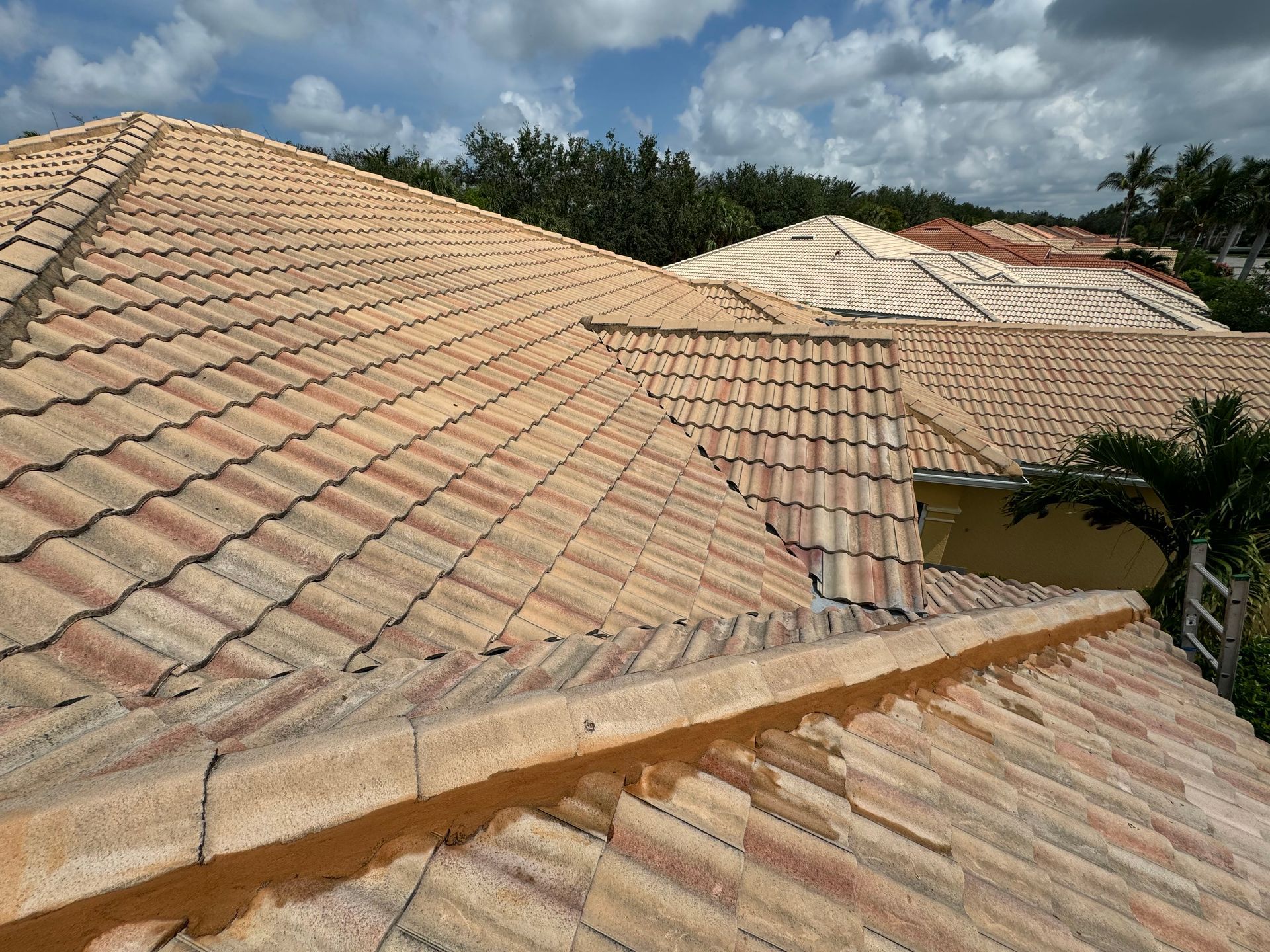 Close-up of a clay tile roof on a sunny day with a backdrop of trees and a blue sky. Close-up of a clay tile roof on a sunny day with a backdrop of trees and a blue sky.
