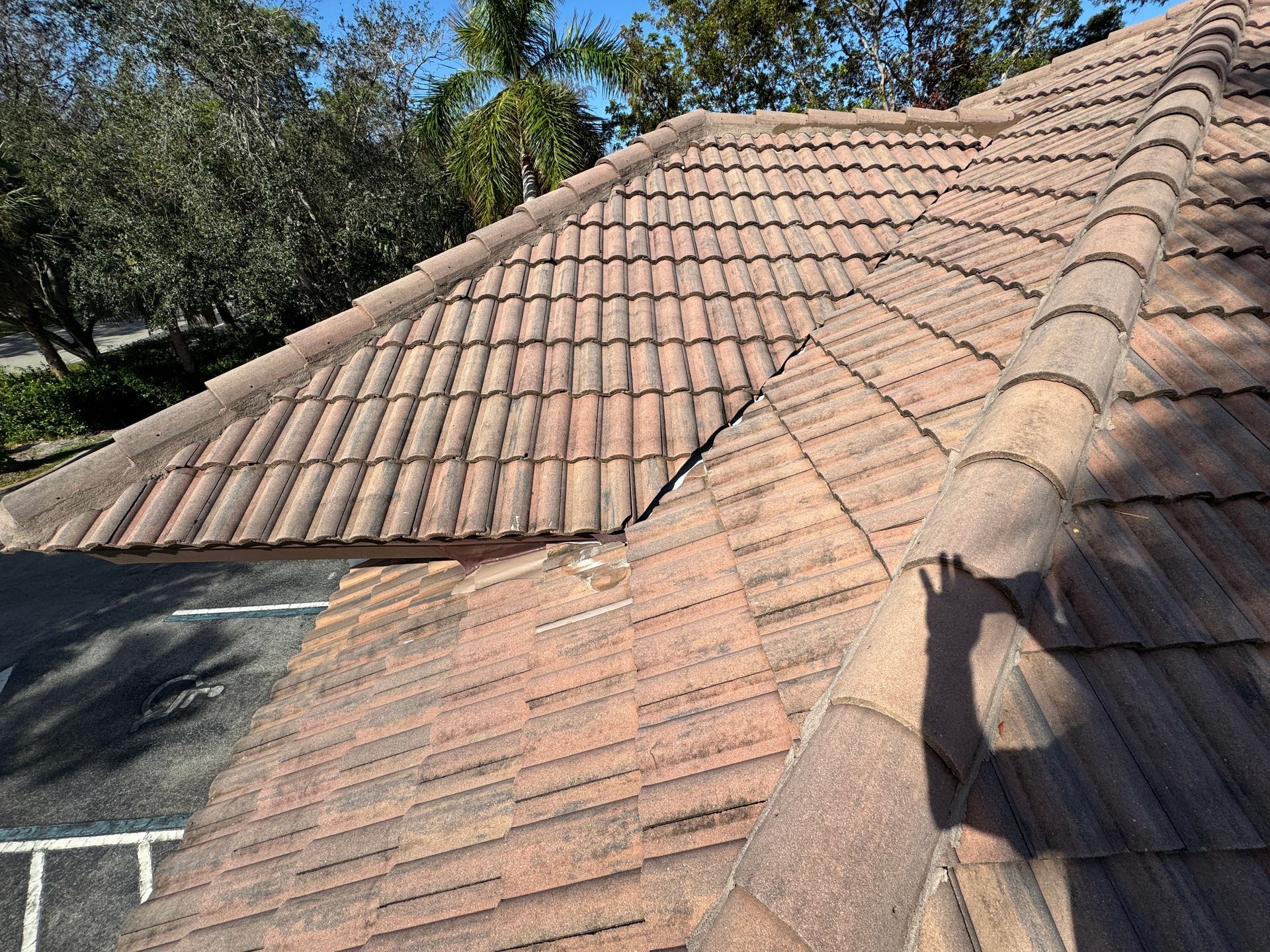 Brown tile roof with a prominent ridge and tree backdrop.