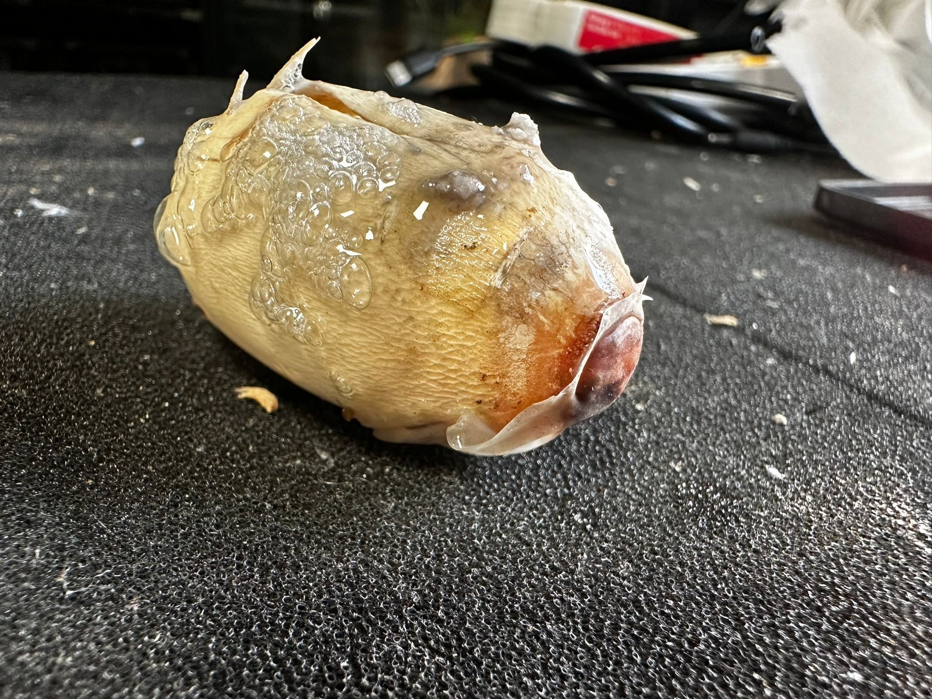 Gebratenes Hähnchen auf einer dunklen Arbeitsplatte, mit Gewürzen bestreut.