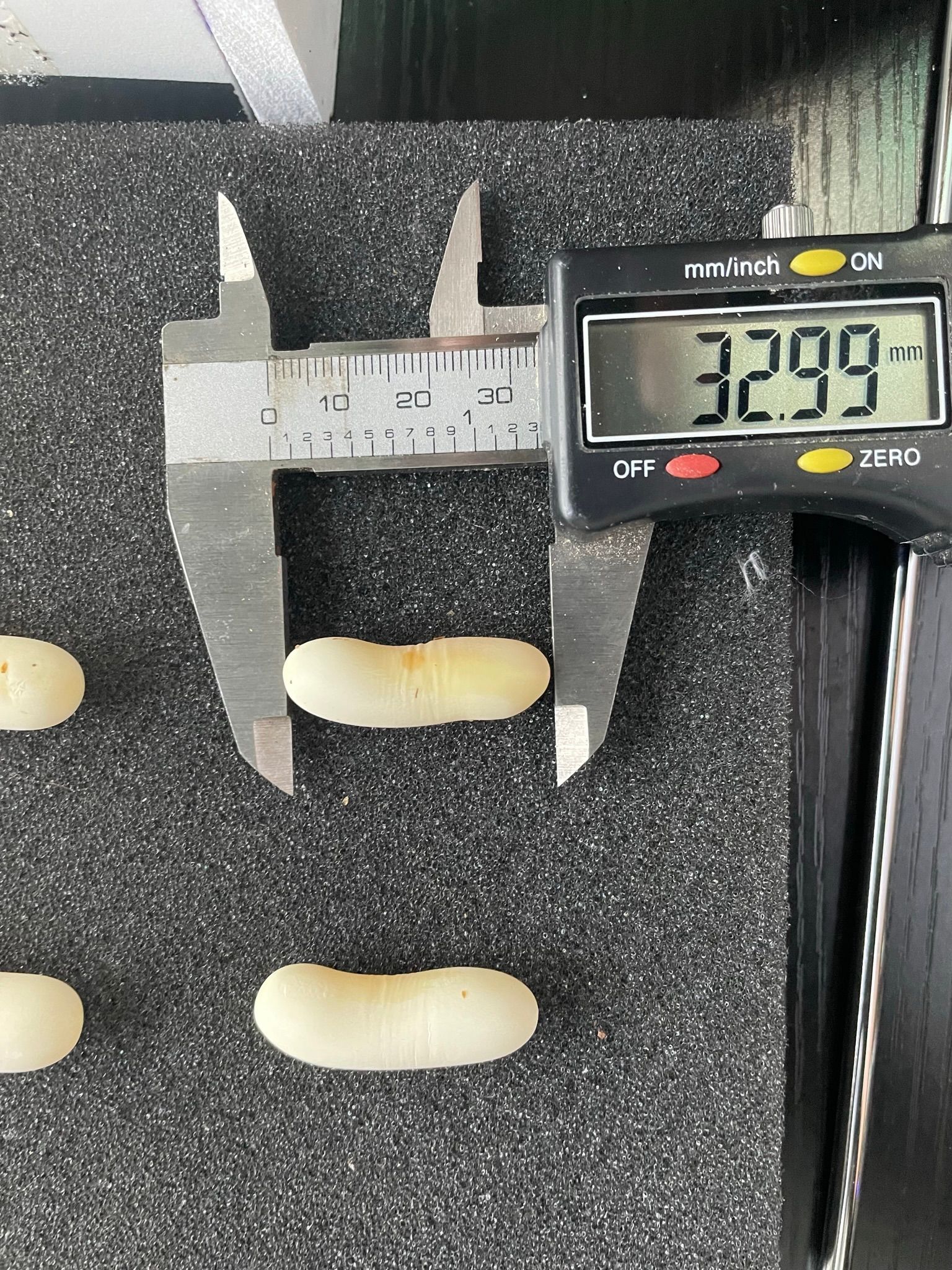 Messschieber, der eine kleine weiße Pille auf schwarzem Schaumstoff misst, digitale Anzeige zeigt 32,99 mm an.