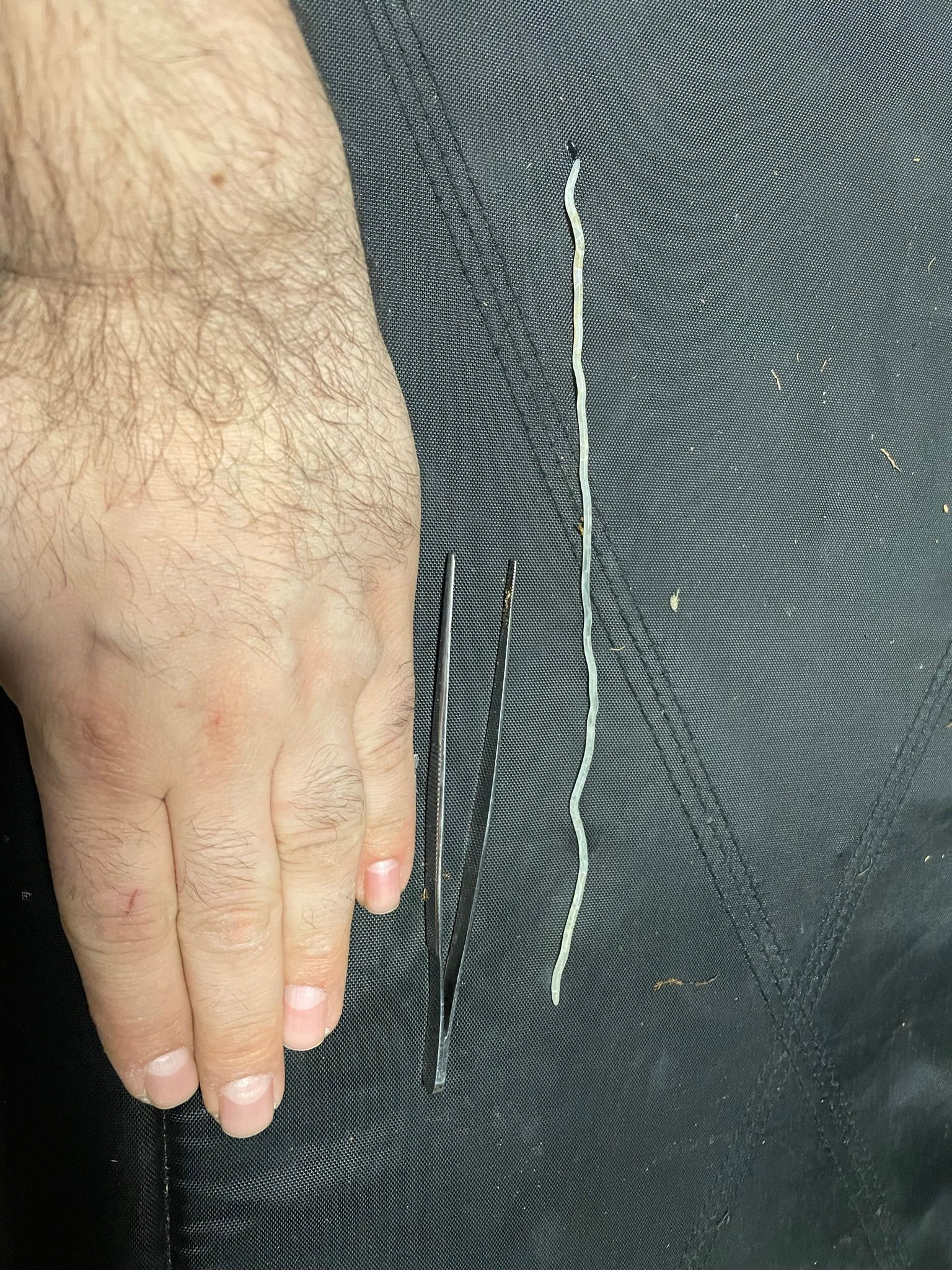 Eine Hand ruht auf einer dunklen, strukturierten Oberfläche neben einem dünnen weißen Haarstrang.