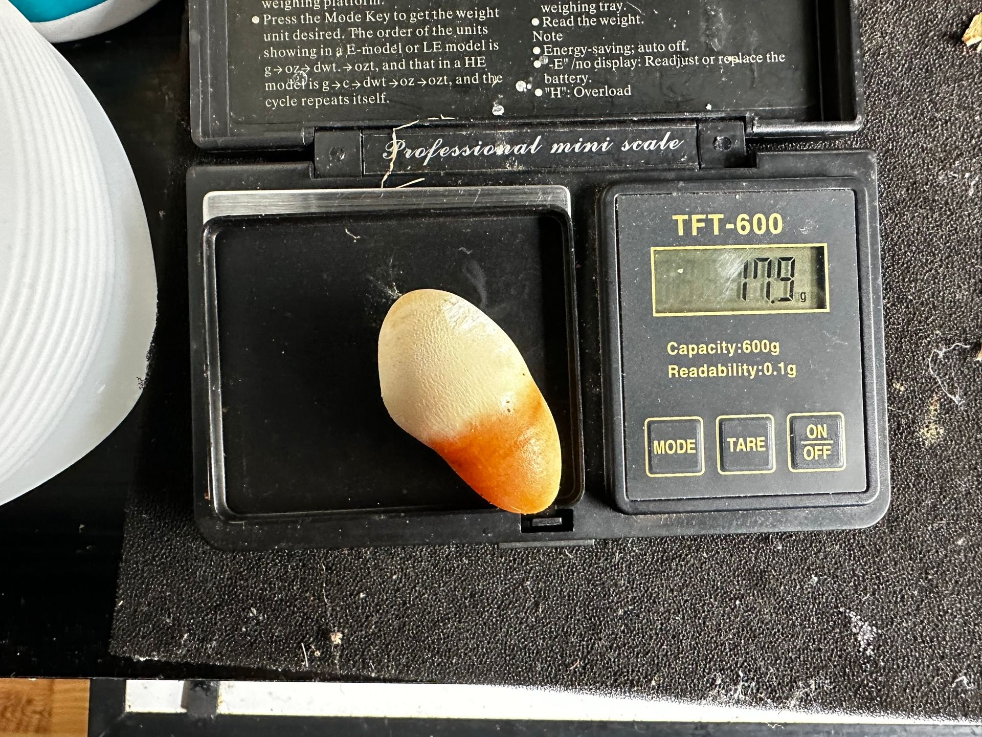 Digitale Waage mit einem kleinen gelb-orangenen Pilz auf der Wiegeplattform.