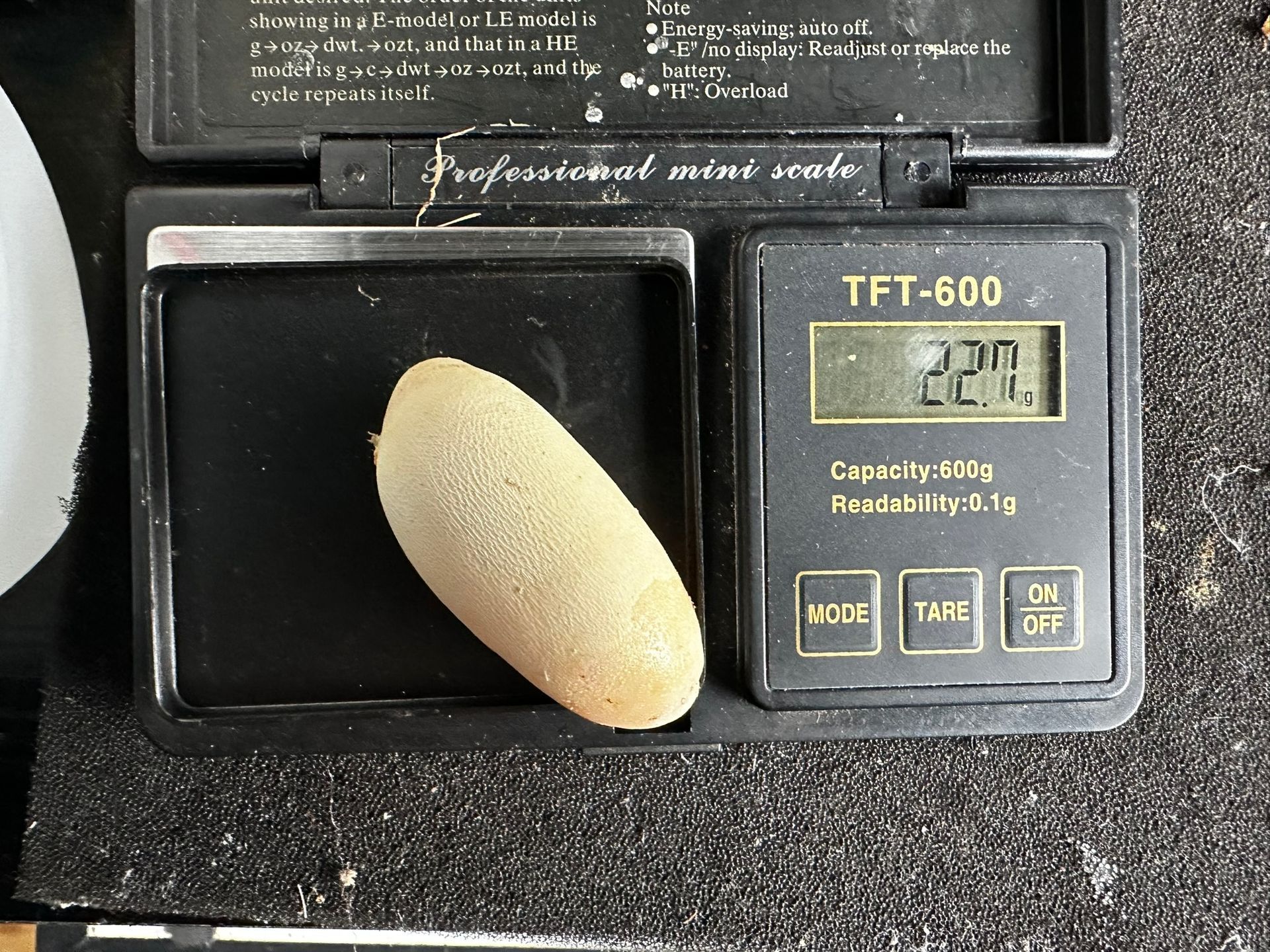 Ein goldfarbenes, bohnenförmiges Objekt auf einer schwarzen Digitalwaage zeigt 6,31 Gramm an.