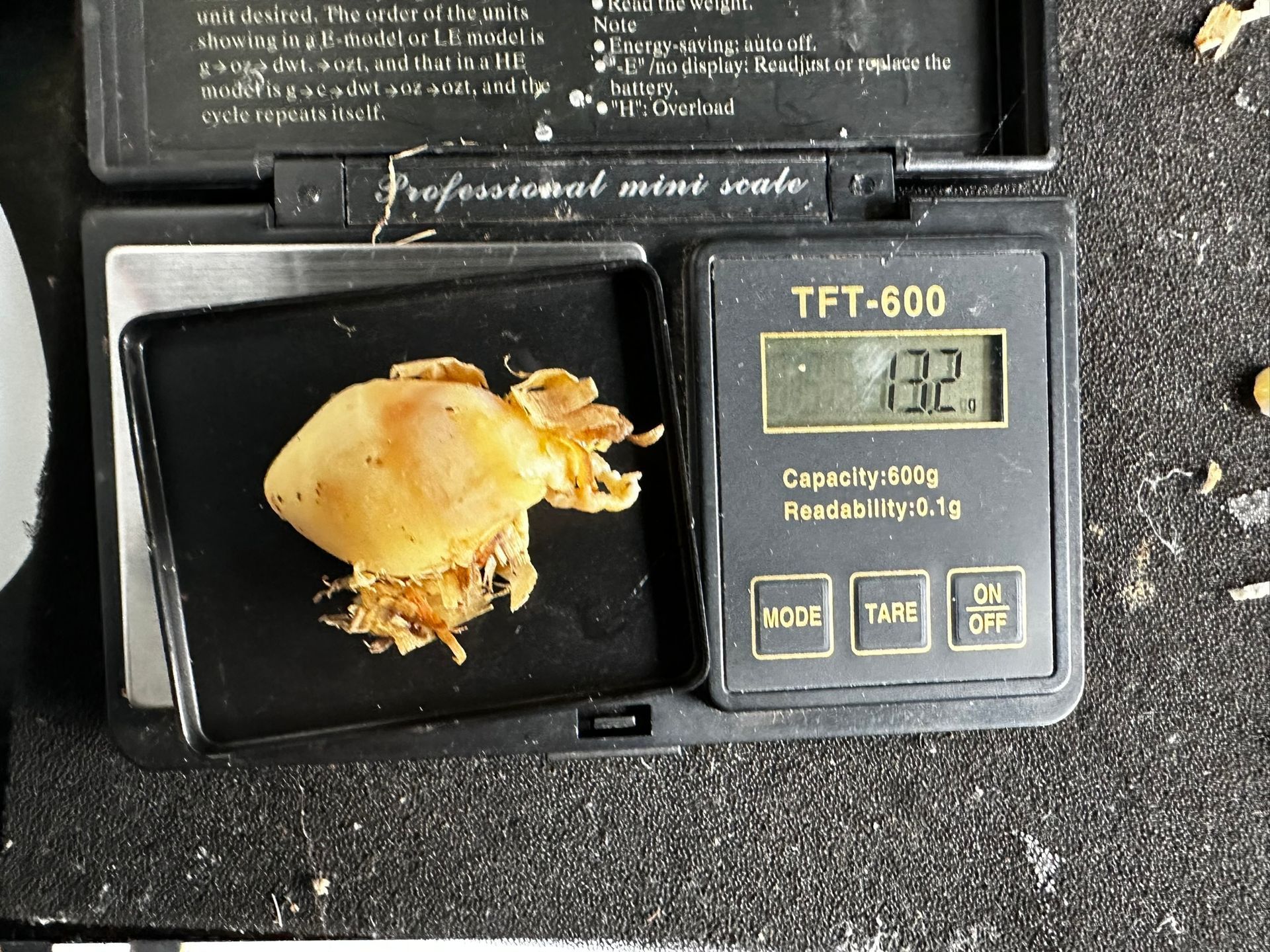 Kleiner Fisch auf einer Digitalwaage, Anzeige: 132 Gramm.