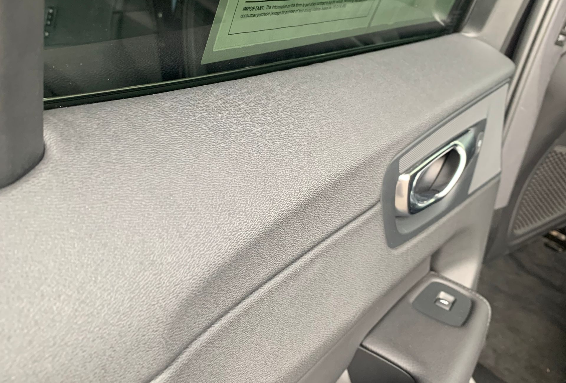 Dog Scratches Repair