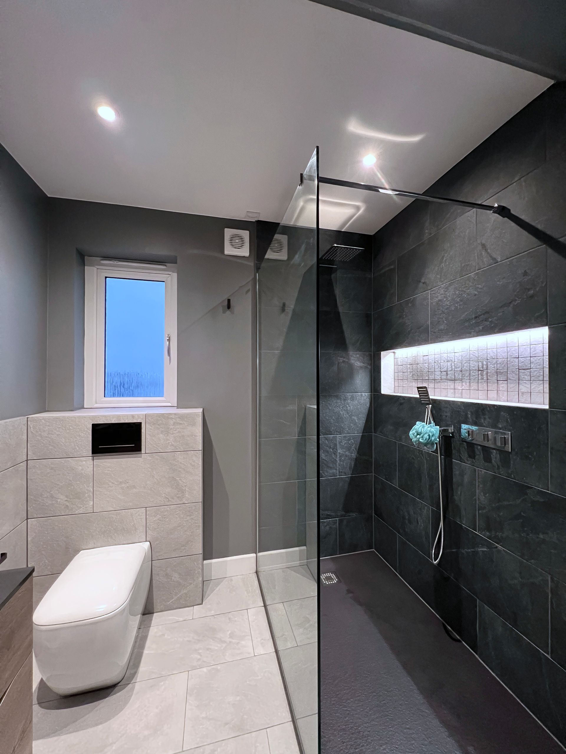 A bathroom with a toilet and a walk in shower
