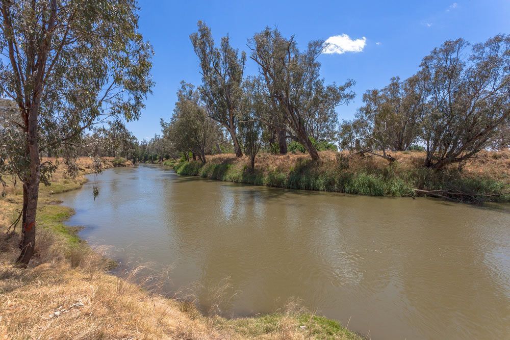 A River Surrounded By Trees And Grass On A Sunny Day — Byron Floor Sanding In Norther Rivers, NSW