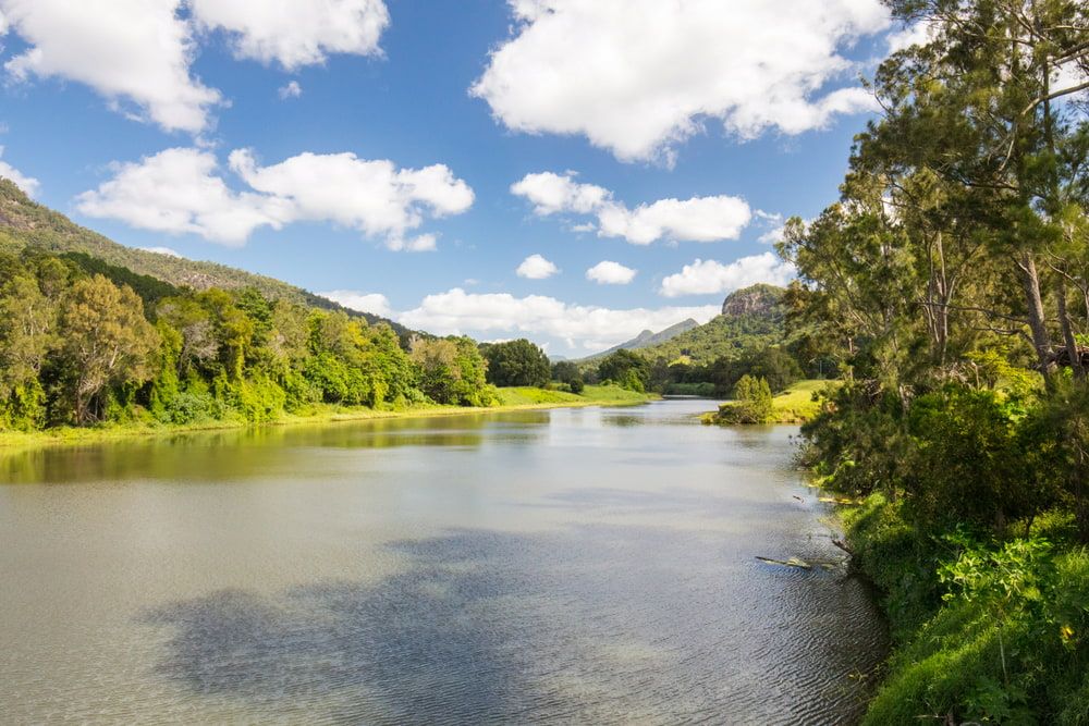 A River Surrounded By Trees And Mountains On A Sunny Day — Gary Arnold Water Supplies in Murwillumbah, NSW