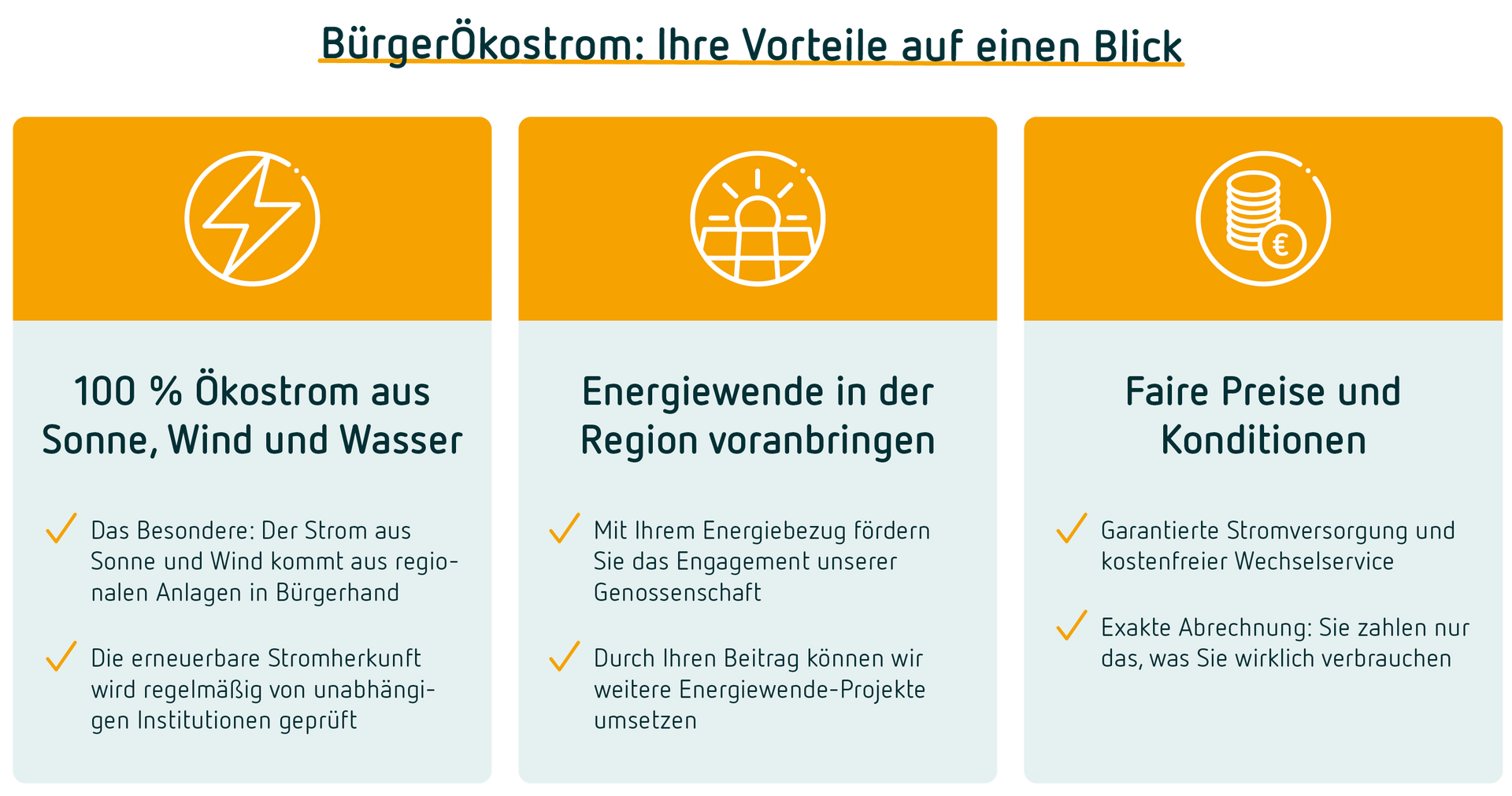 Vorteile Bürgerstrom