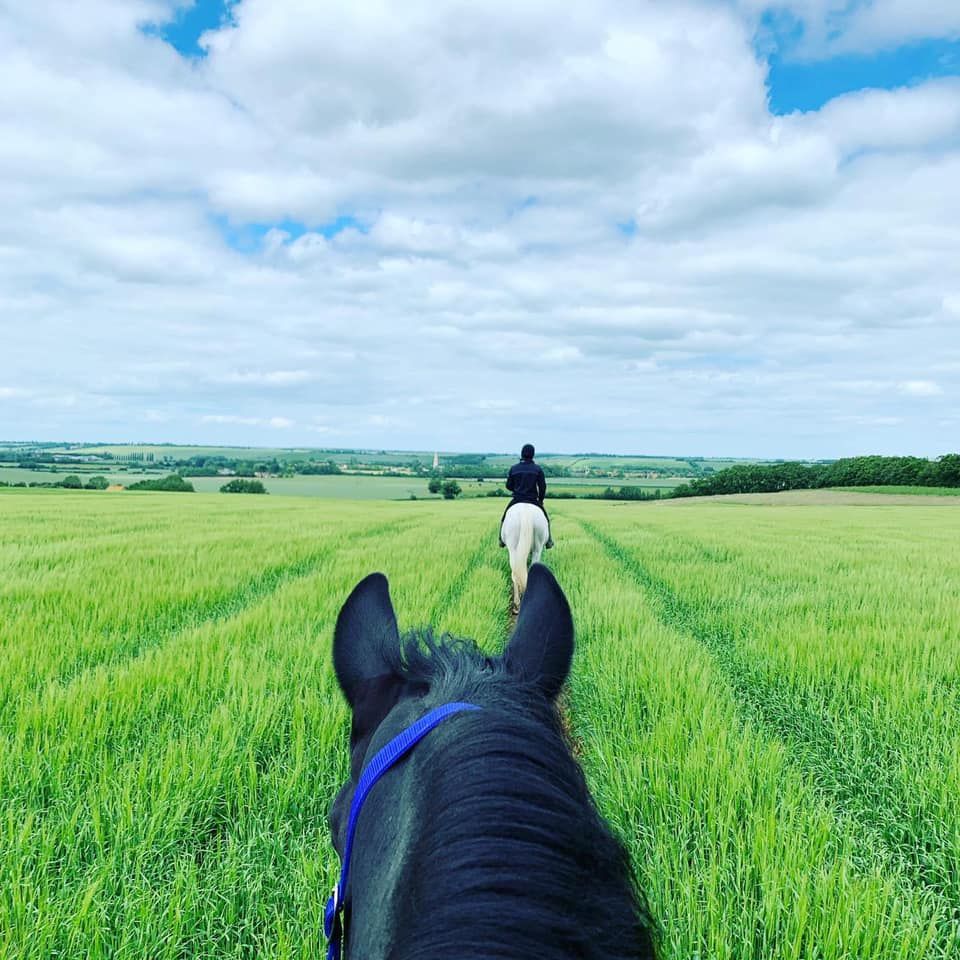 Two people are riding horses through a grassy field
