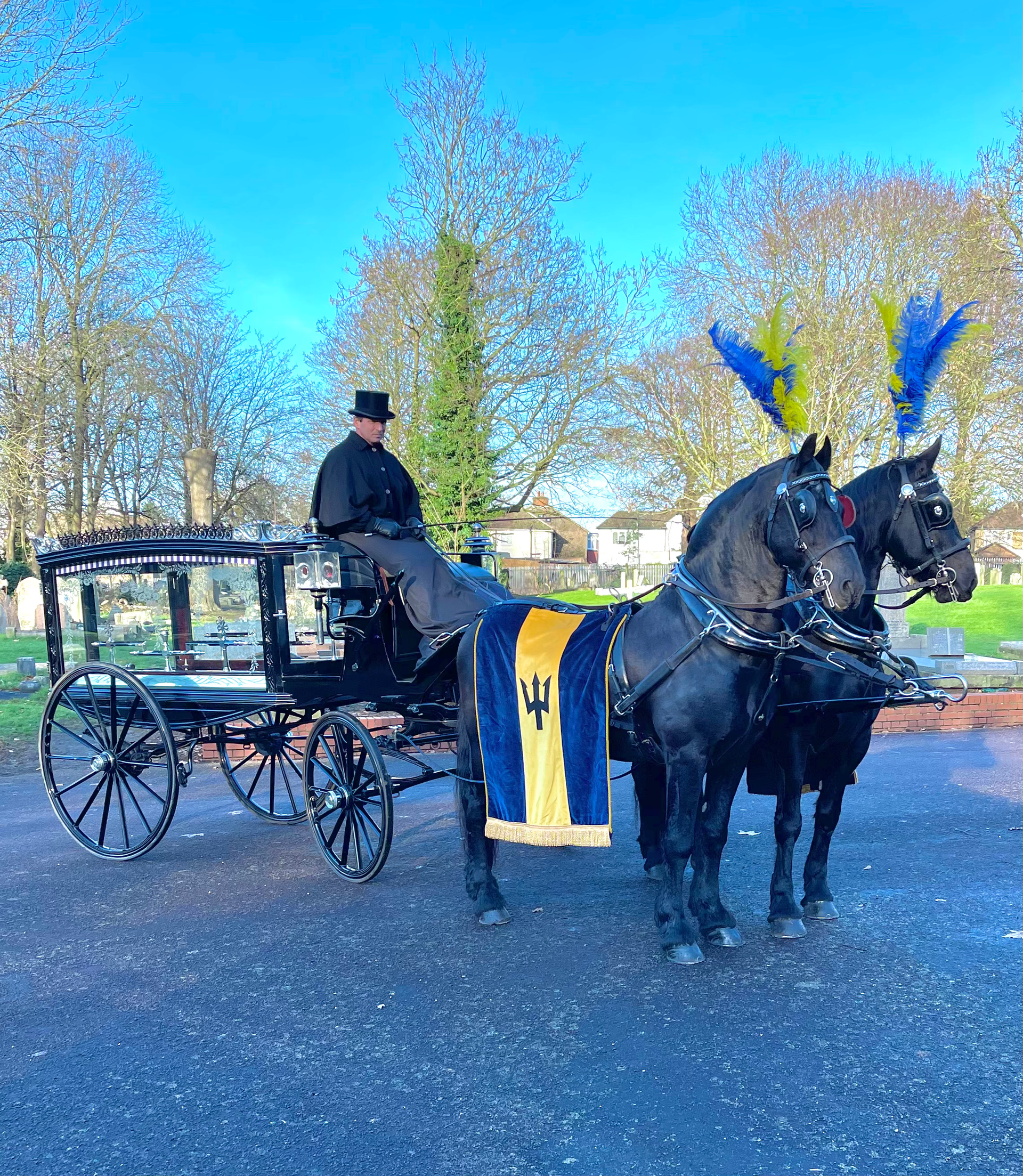 A horse drawn carriage with a blue and yellow flag on the back