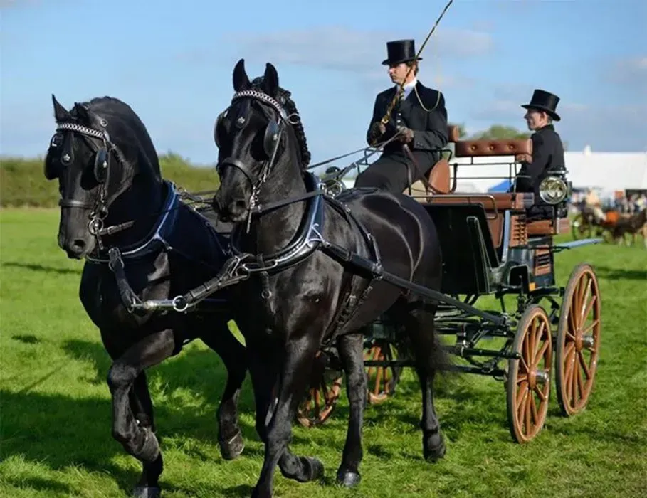 A man in a top hat is riding a horse drawn carriage