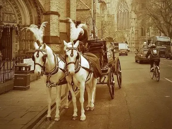 A horse drawn carriage is parked on the side of the road.