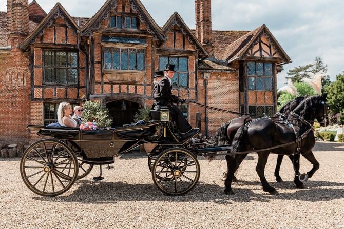 A horse drawn carriage with purple feathers is driving down a street.