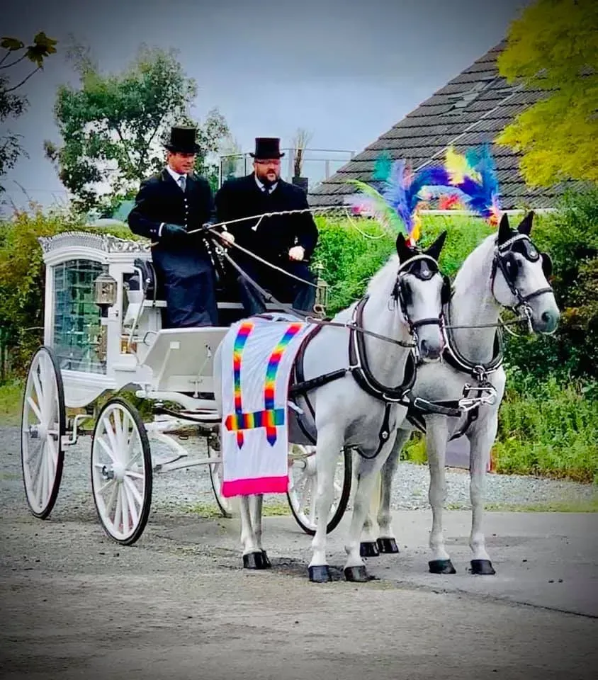 Two men are driving a horse drawn carriage down a road
