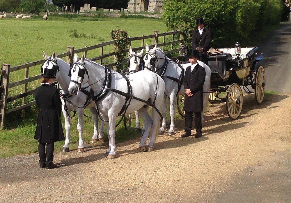 A horse drawn carriage is pulled by three white horses