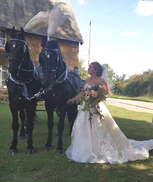 A bride in a white dress stands next to two black horses