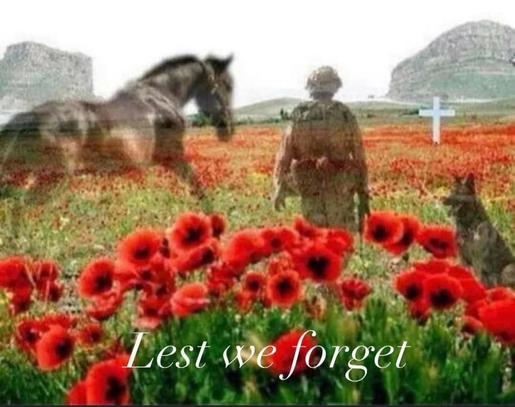 A soldier is standing in a field of red flowers with a horse and a dog.