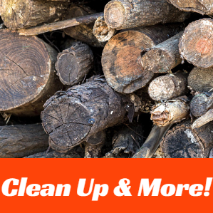 Stacked cut logs with orange banner reading “Clean Up & More!”