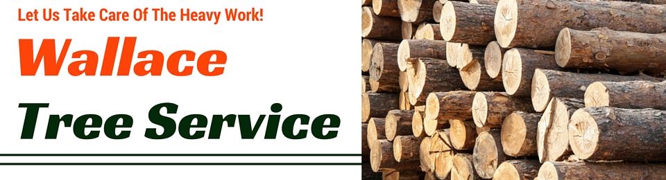 Wallace Tree Service banner with stacked cut logs and orange-and-green logo text