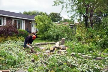 Person clearing storm debris in a yard with fallen branches and a damaged tree near a house