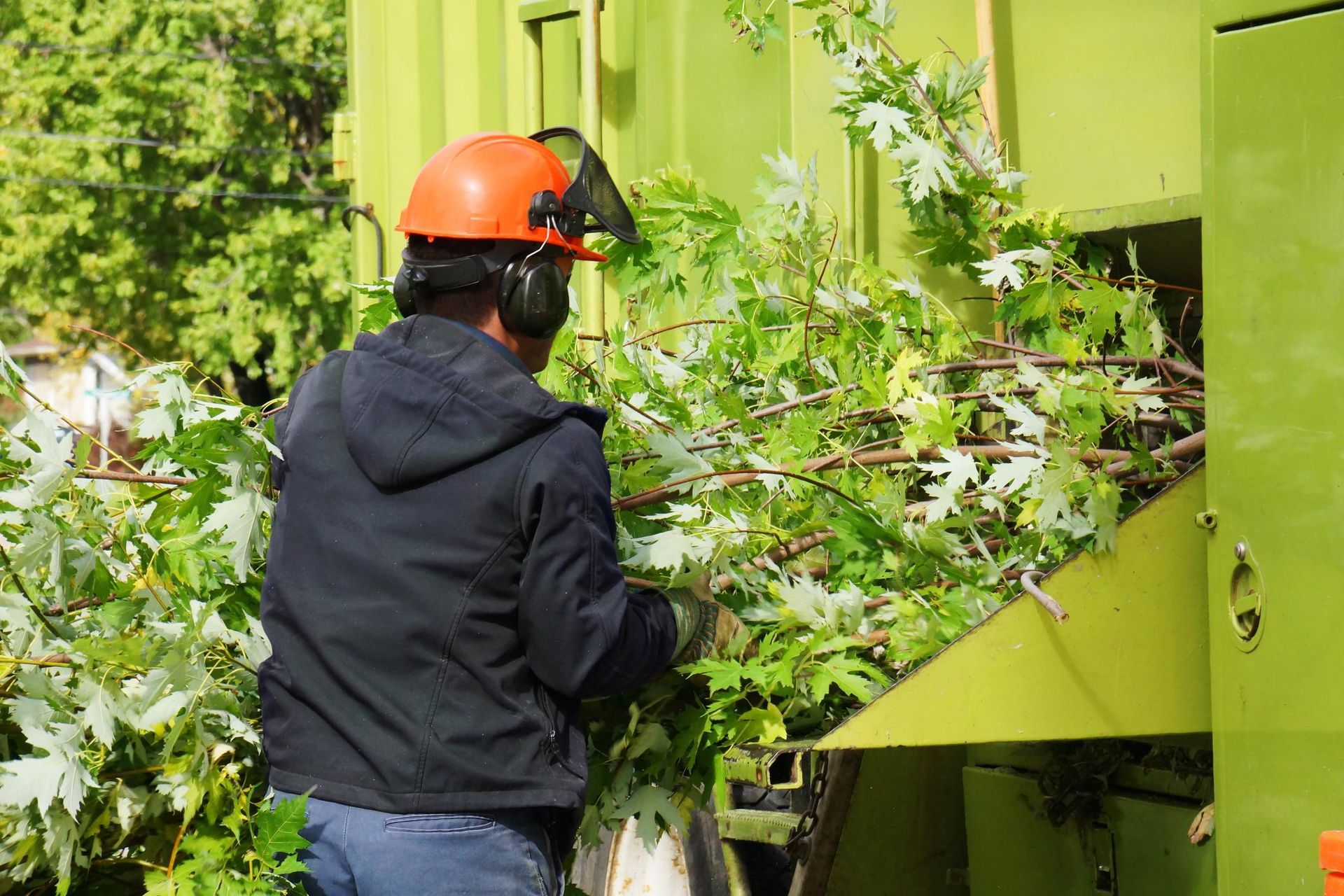 Person in orange helmet operates a wood chipper, feeding leafy branches into the machine.