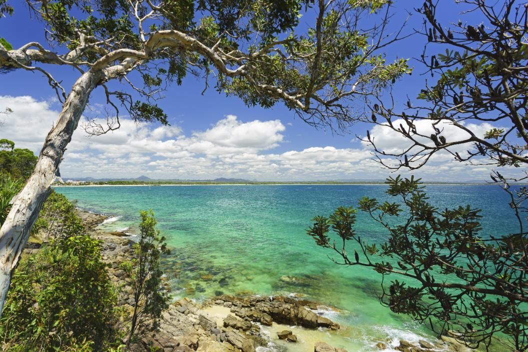 Wide View of A Beach With Tree and Sky — SC Glass & Aluminium in Noosa, QLD