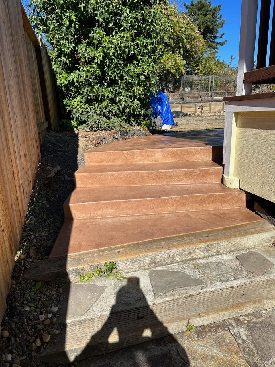 A shadow of a person is cast on a set of stairs in a backyard.