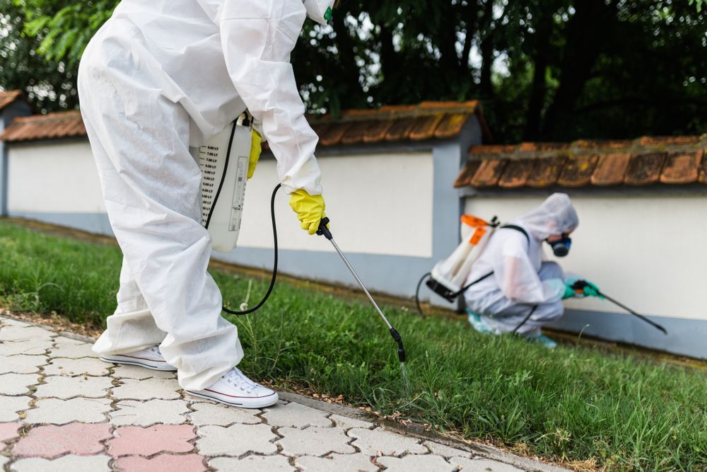 A man in a protective suit is spraying a lawn with a sprayer.